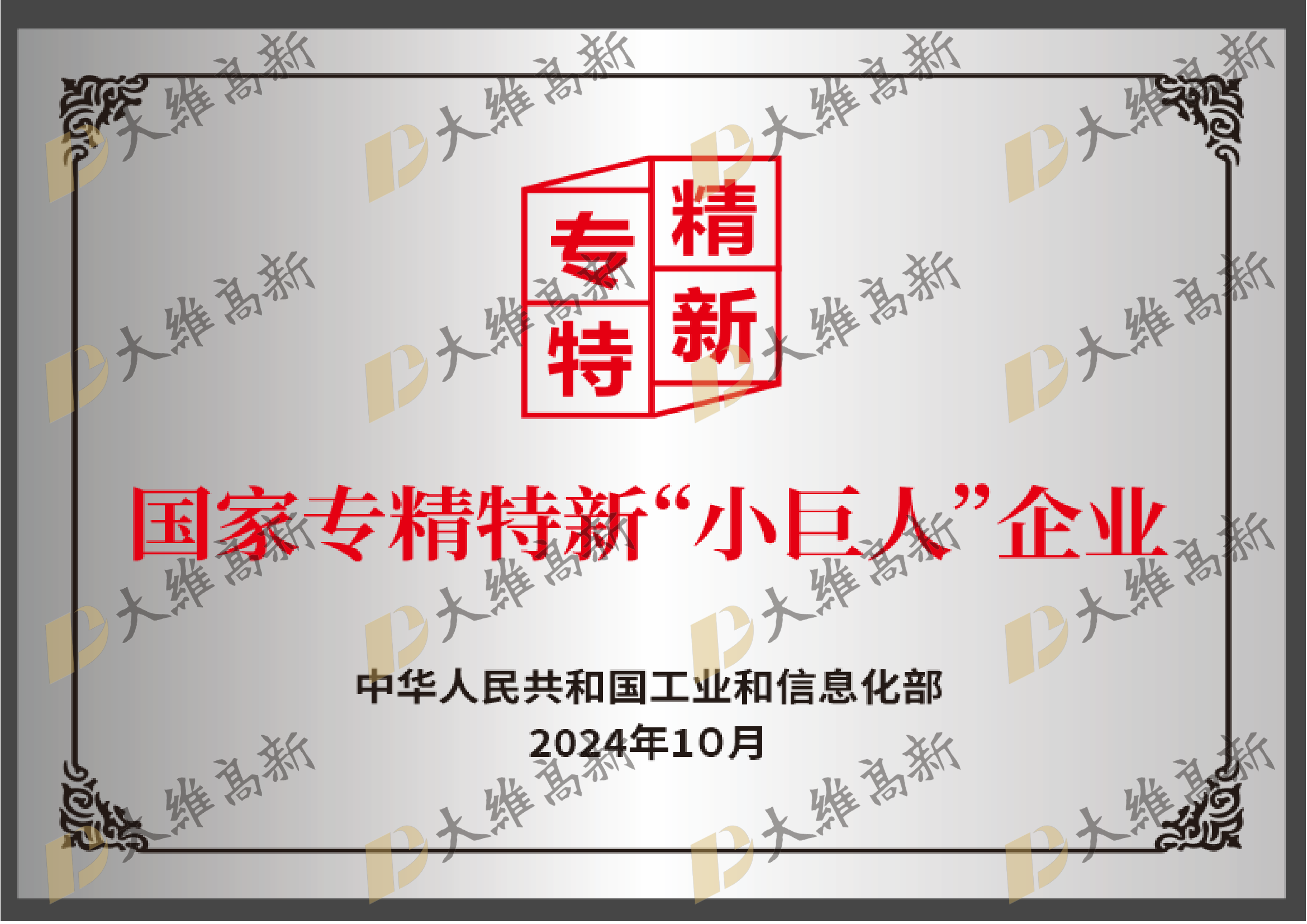 国家高精特新“小巨人”企业